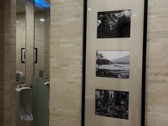 -希尔顿逸林大酒店-随园中餐厅(新区店)