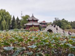 -莲池书院博物馆