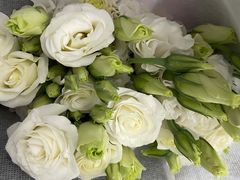 -循礼门鲜花花市(武汉循礼门店)