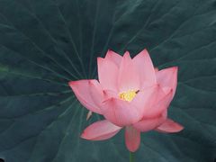 -玄武湖景区-情侣园游乐场