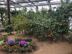 -南通洲际绿博园