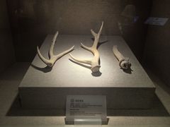 -南越王博物院(王宫展区)