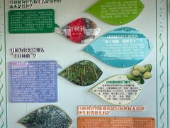 -北海金海湾红树林生态旅游区