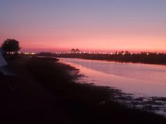 -春花秋色城市公园