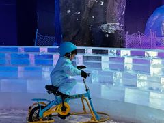 -世界之窗阿尔卑斯冰雪世界