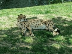 -北京野生动物园