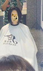 -丝语萱形象