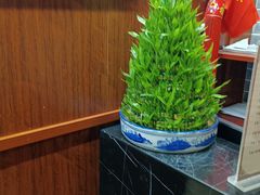 -裕和堂中医推拿艾灸(太古汇臻品店)