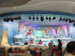 -帝企鹅自助餐厅•儿童岛•真企鹅(长隆企鹅酒店)