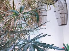 -云里小坐·小院里·团建·宴请·下午茶(三圣乡店)