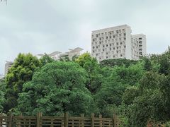 -深圳国际园林花卉博览园