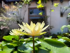 -集美学村