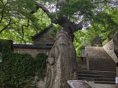 -青岛崂山太清宫