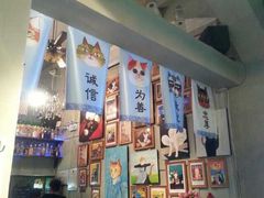 -猫咪博物馆(顶澳仔猫街店)