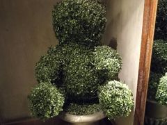-蝴蝶汇音乐酒馆(罗湖店)