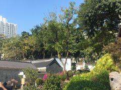-九龙寨城公园