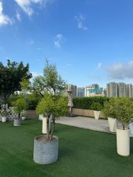 -维倪月子会所(独栋庭院·南海店)
