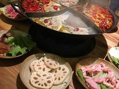 -白乐天毛肚火锅馆(解放碑店)
