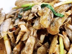 -明记海鲜大排档(巽寮湾店)