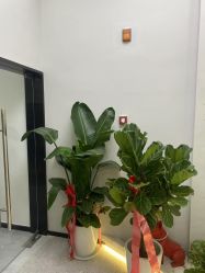 -DK SALON连锁专业烫染接发店