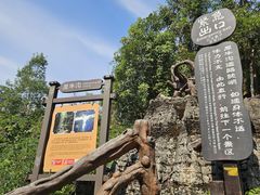 -梭布垭石林景区