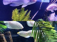 -重庆欢乐海底世界