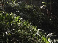-山城巷传统风貌区