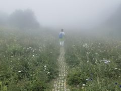 -白草畔自然风景区