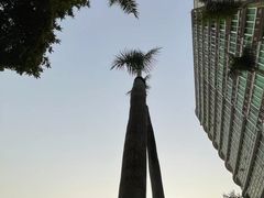 -广东金融学院(校本部)