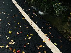 -牛背梁国家森林公园