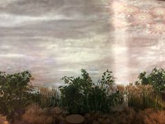 -印象莫奈时光映迹艺术展