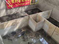 -龟场私房菜
