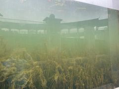 -眉山湿地公园(东坡区)