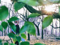 -上海共青森林公园