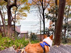 -严子陵钓台(富春江小三峡)