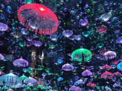 -梵高星空艺术馆(北京旗舰店)
