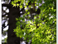 -陕西师范大学(雁塔校区)