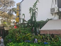 -瀏河老街土菜館(浏河店)