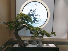 -享月汤皇·海鲜小火锅·聚会(曲江创意谷店)