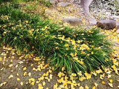 -苏州河梦清园环保主题公园