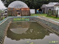 -美家乐农庄·露营·团建(大治路店)