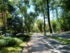 -四川大学(望江校区)