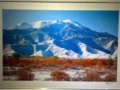 -南湖市民广场-乌鲁木齐美术馆