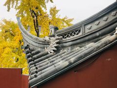 -上海白云观