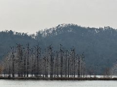 -东湖落雁景区