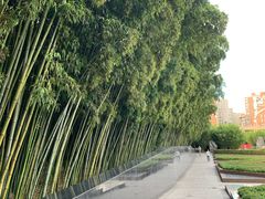 -上海市龙华烈士陵园