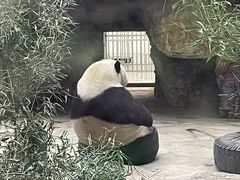 -石家庄市动物园