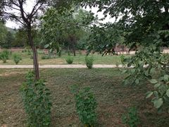 -石家庄市动物园