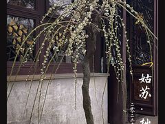 -拙政园
