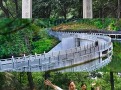 -沂蒙山旅游区云蒙景区(蒙山国家森林公园)